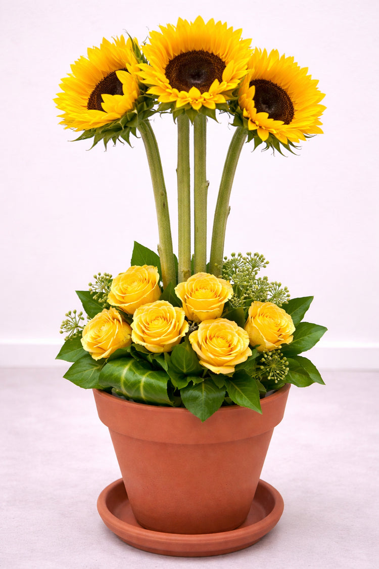 Sunny Delight Sunflower & Rose Arrangement